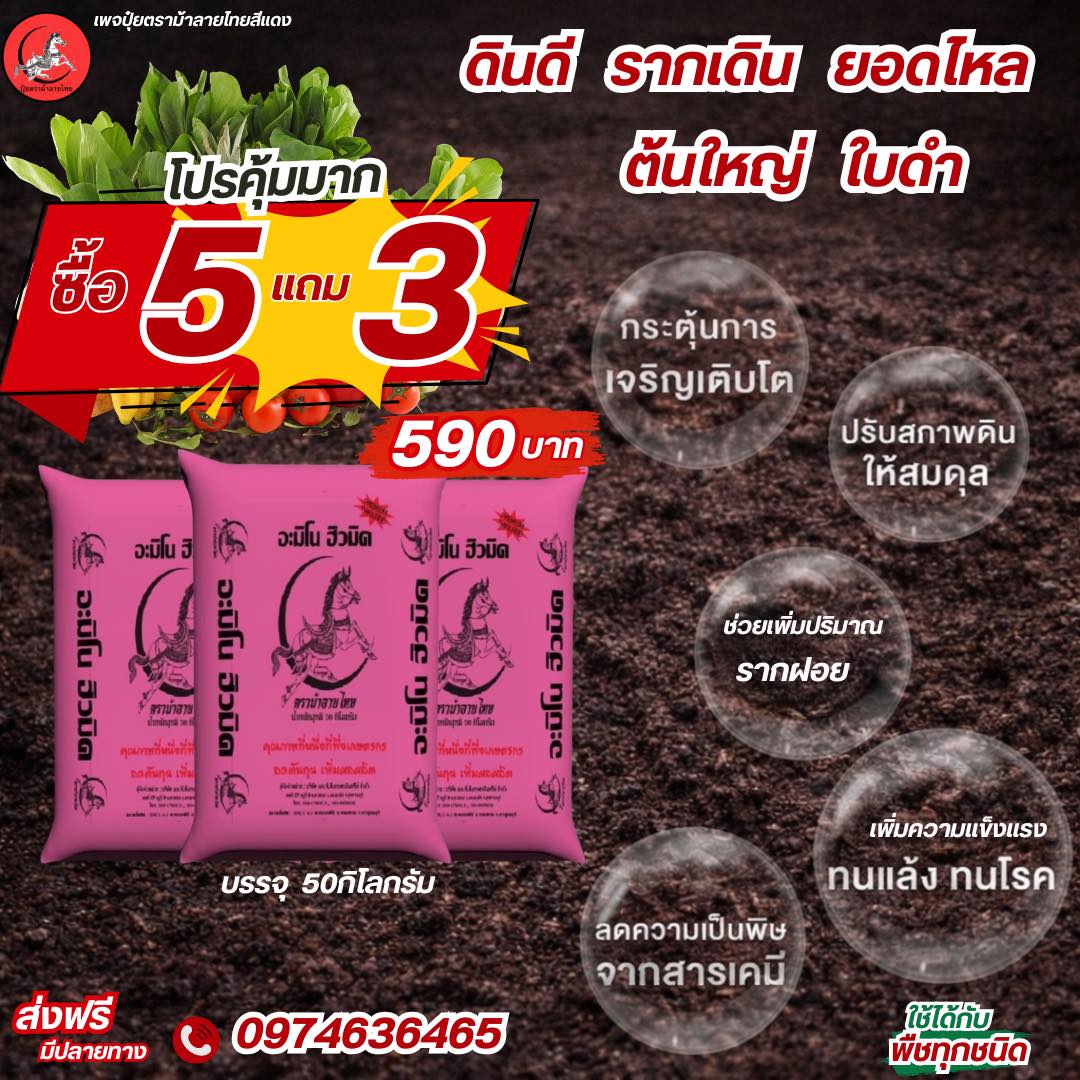 ปุ๋ยตราม้าลายไทย Facebook ad: ที่สุด ในเรื่องคุณภาพปุ๋ยดี อินทรีย์วัตถุสูง
