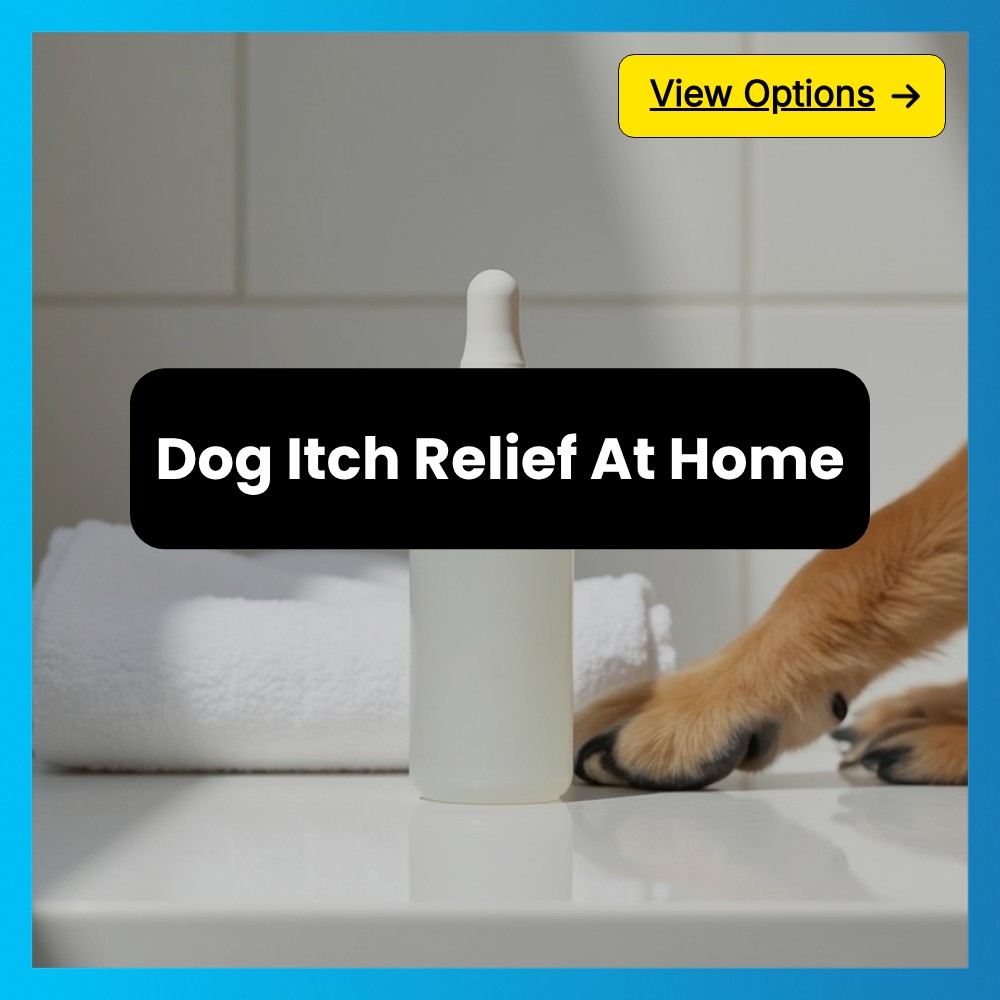 SearchArena Here Facebook ad: Dive Into At-Home Dog Itch Remedy Info.