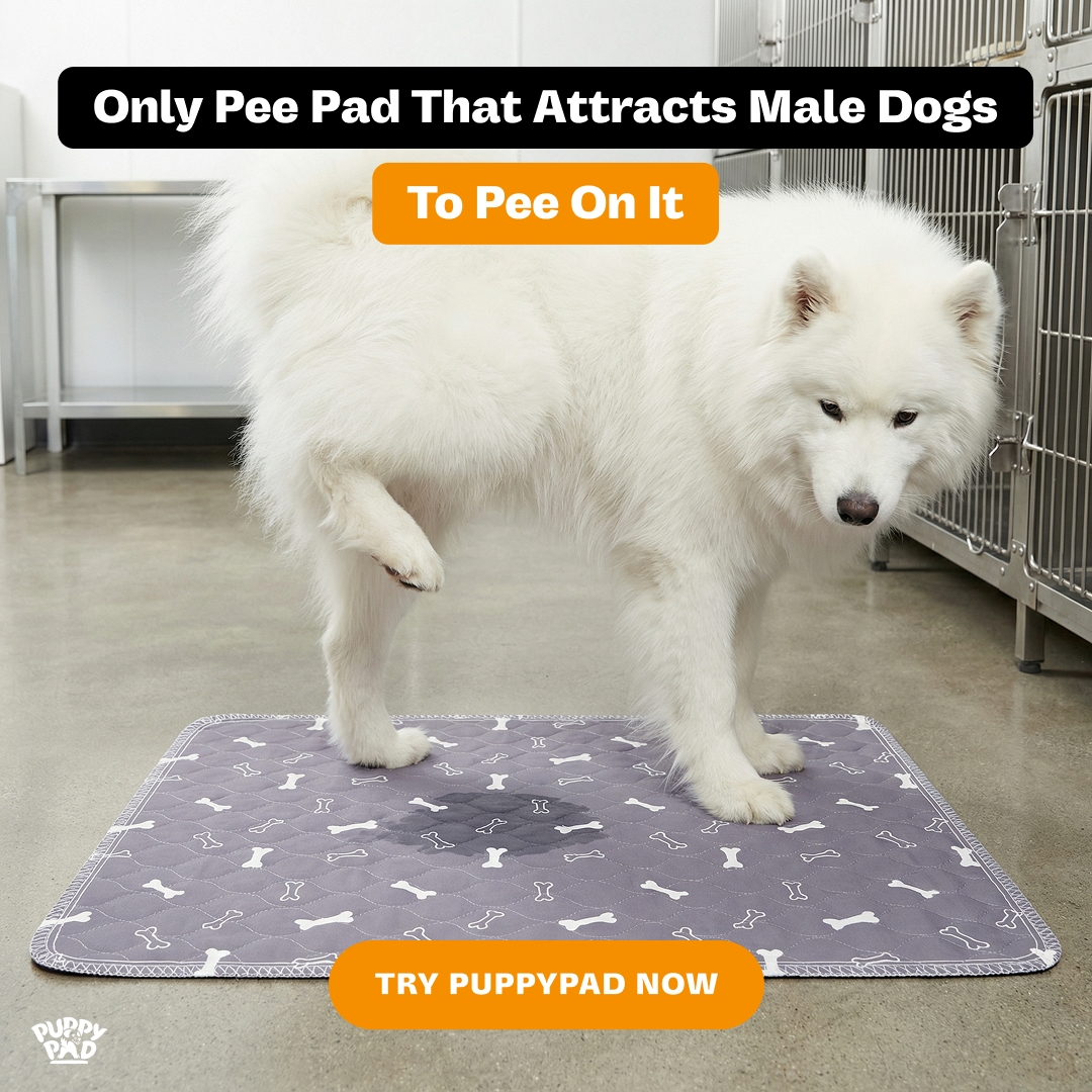 PuppyPad Facebook ad