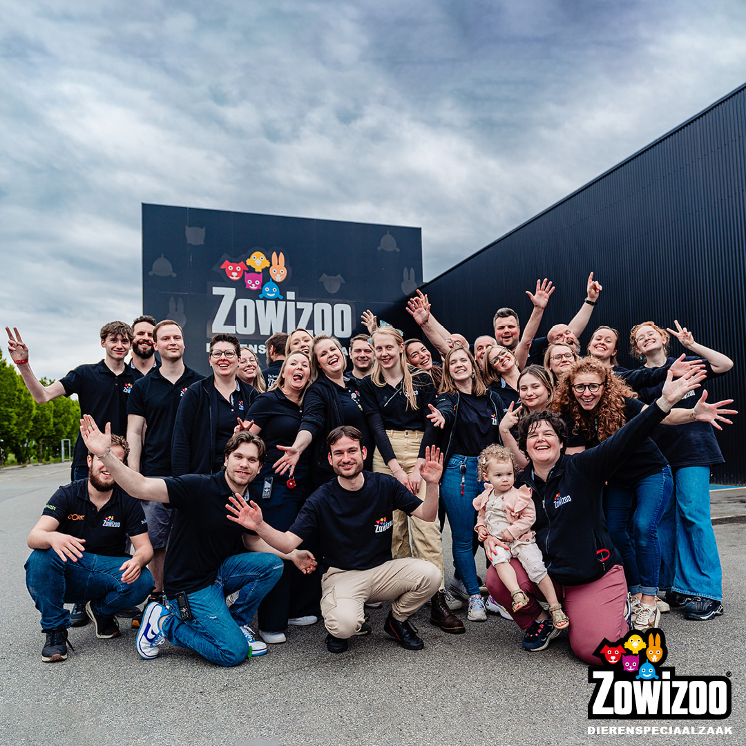 Zowizoo Facebook ad