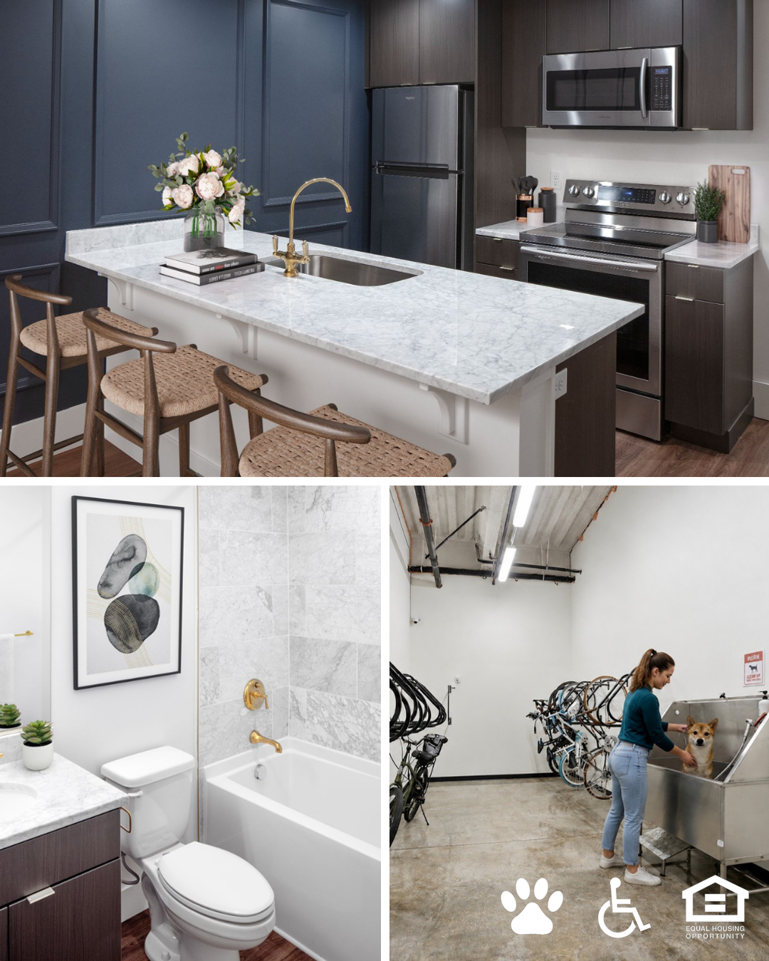 The Fitz Apartments Facebook ad: This Month Only: 6 Weeks Free on Select Apts*