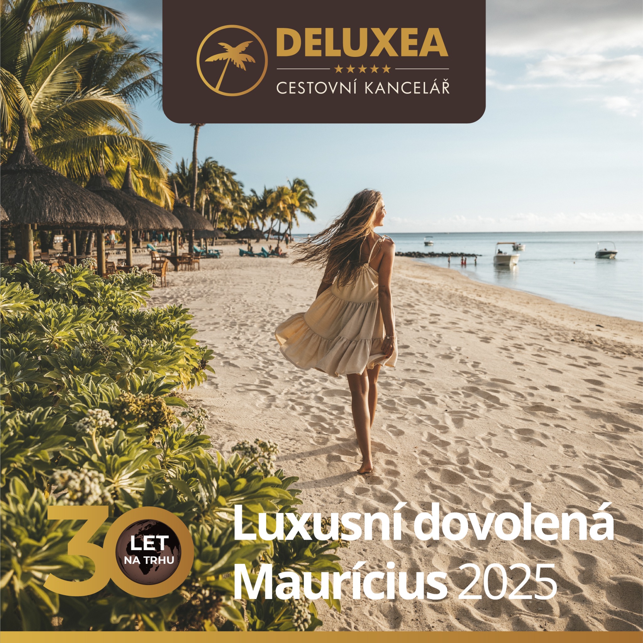Deluxea Facebook ad