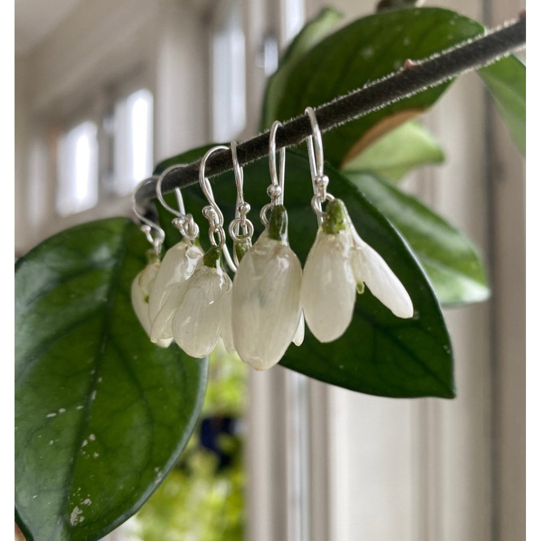 KNASK Facebook ad: Ekte tørkede blomster, foreviget!
