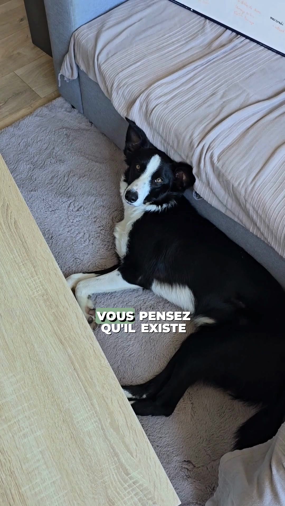 Franklin Pet Food Facebook ad: 100% peau de cabillaud