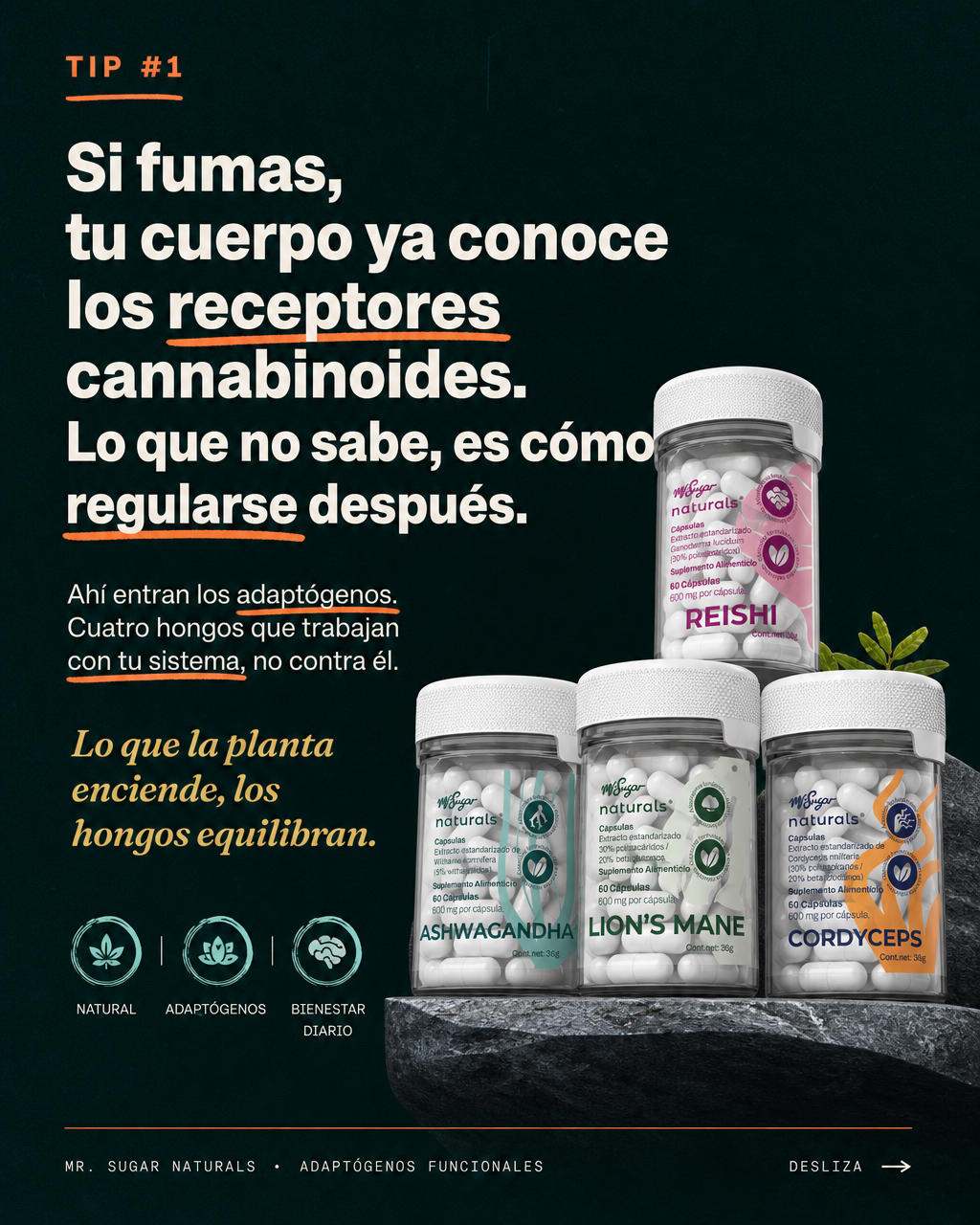 Mr Sugar naturals Facebook ad: Compra 2, Lleva 3