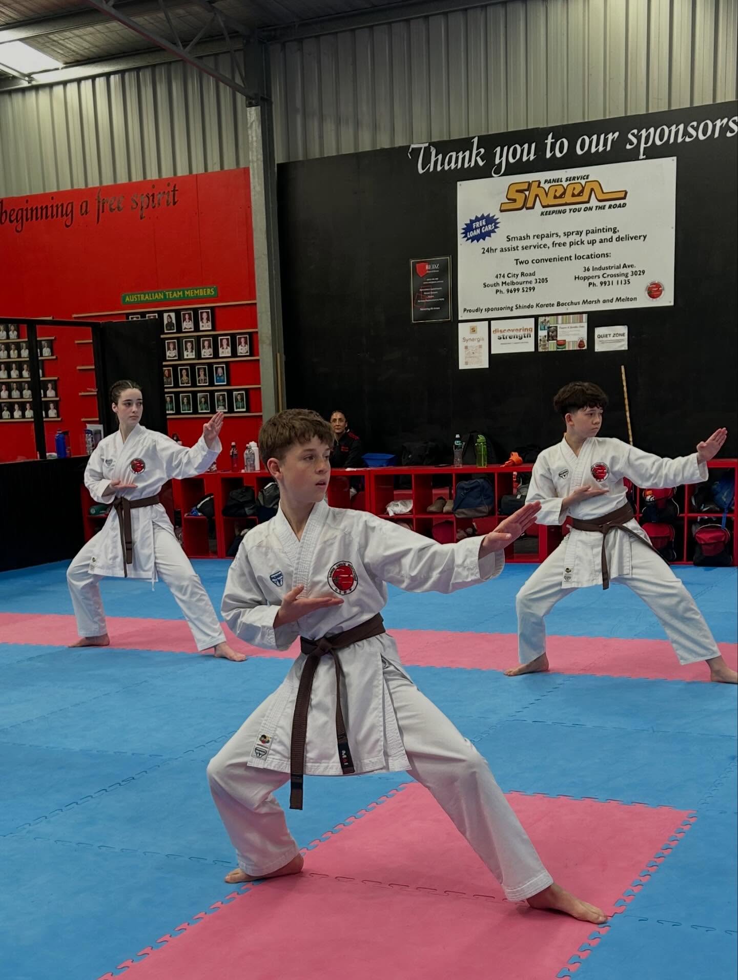 Shindo Karate Altona Meadows Dojo Facebook ad