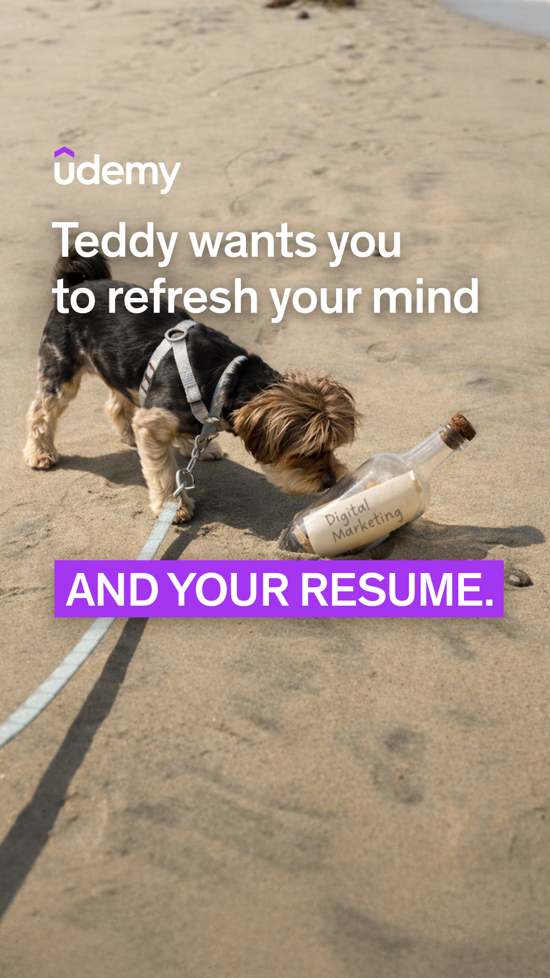 Udemy Facebook ad