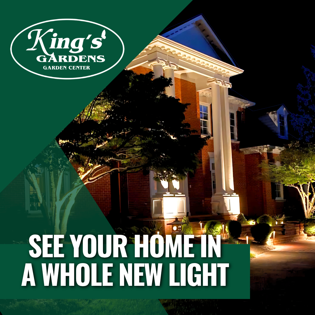 King's Gardens Facebook ad: Transform Your Home with Expert Lighting!