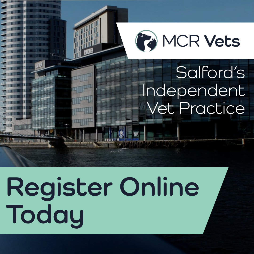 MCR Vets Facebook ad: Salford's Independent Vet Practice