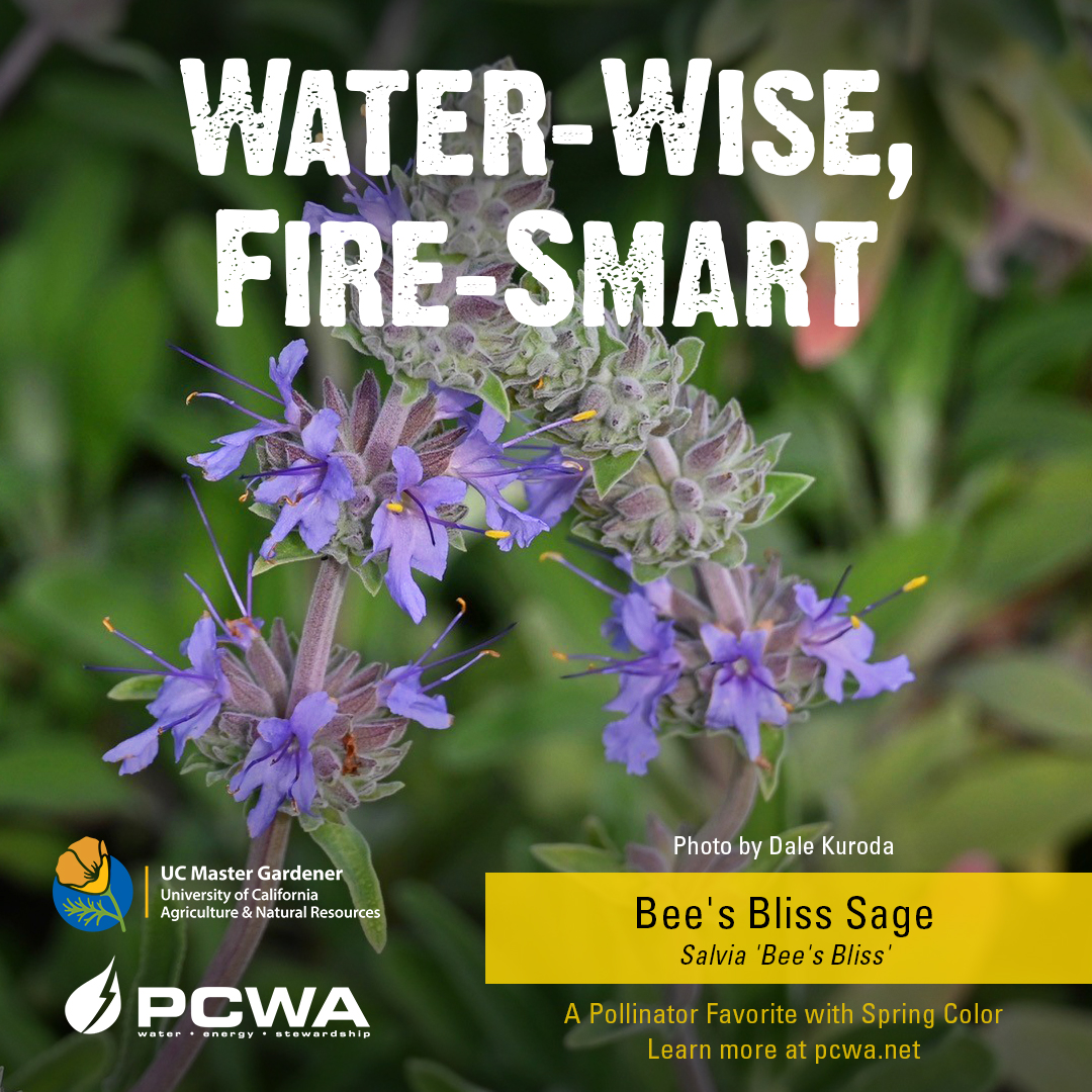 Placer County Water Agency Facebook ad from Apr 7, 2026