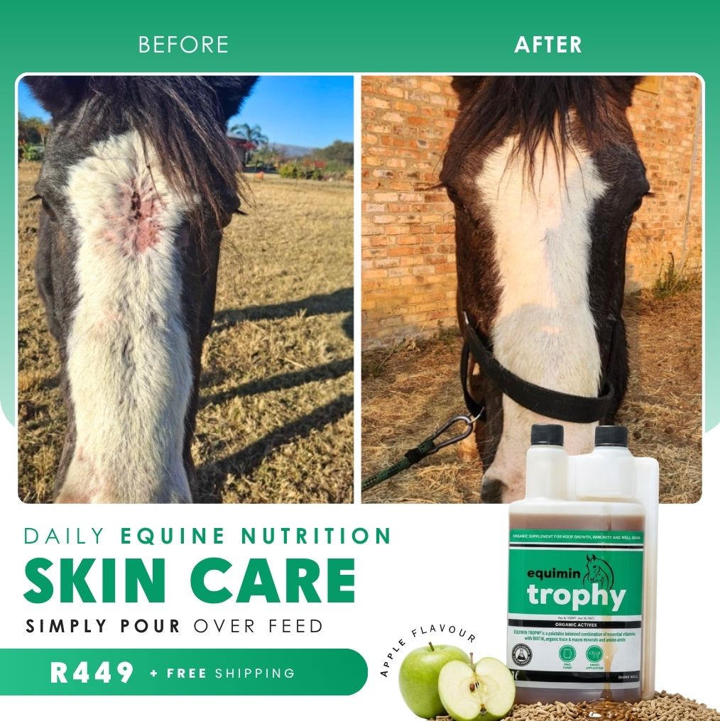 Camelus Facebook ad: Tasty Daily Support