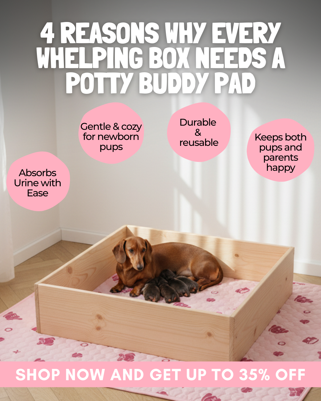 Potty Buddy Facebook ad