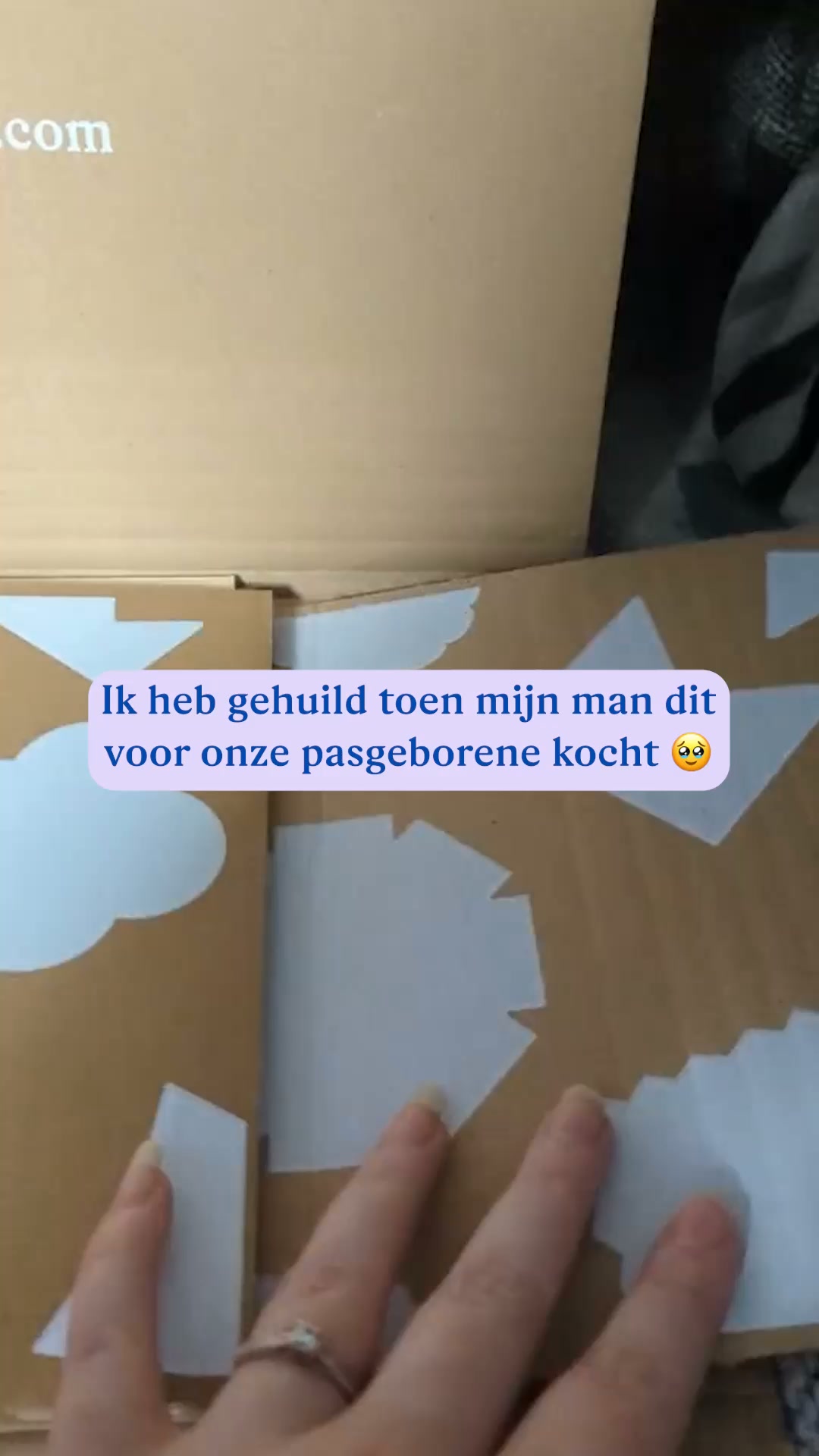Wonderbly Facebook ad: Welk dierenkameraadje zal het worden?