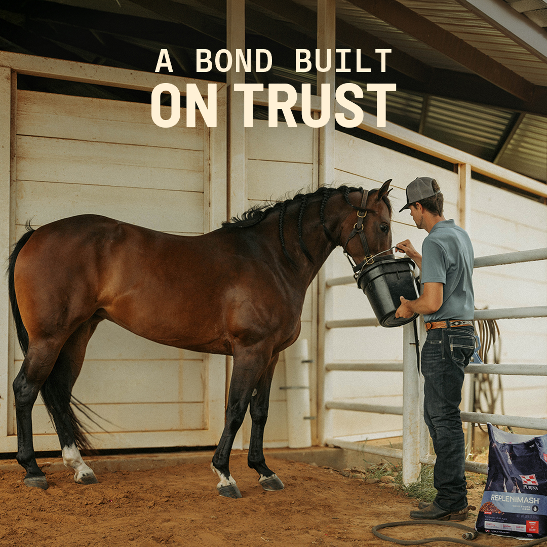 Purina Horse Facebook ad: You're at your best when your horse is…