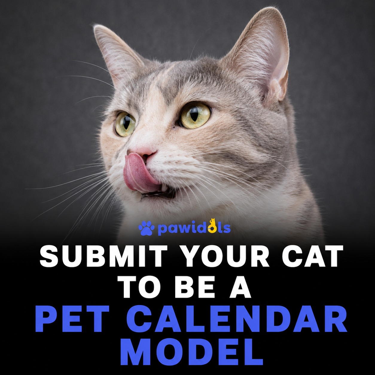 Pawidols Facebook ad: Your Pet Could Be a Calendar Star!