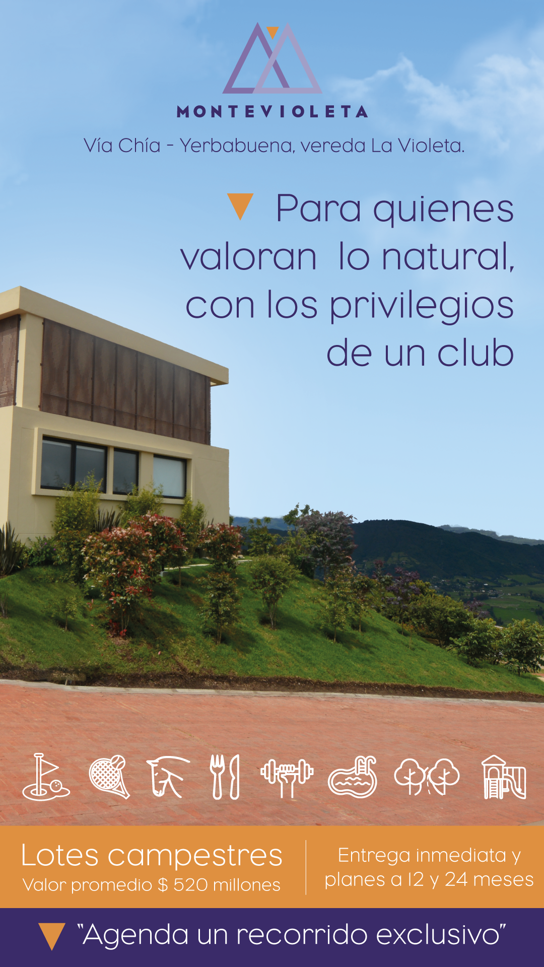 Montevioleta Facebook ad