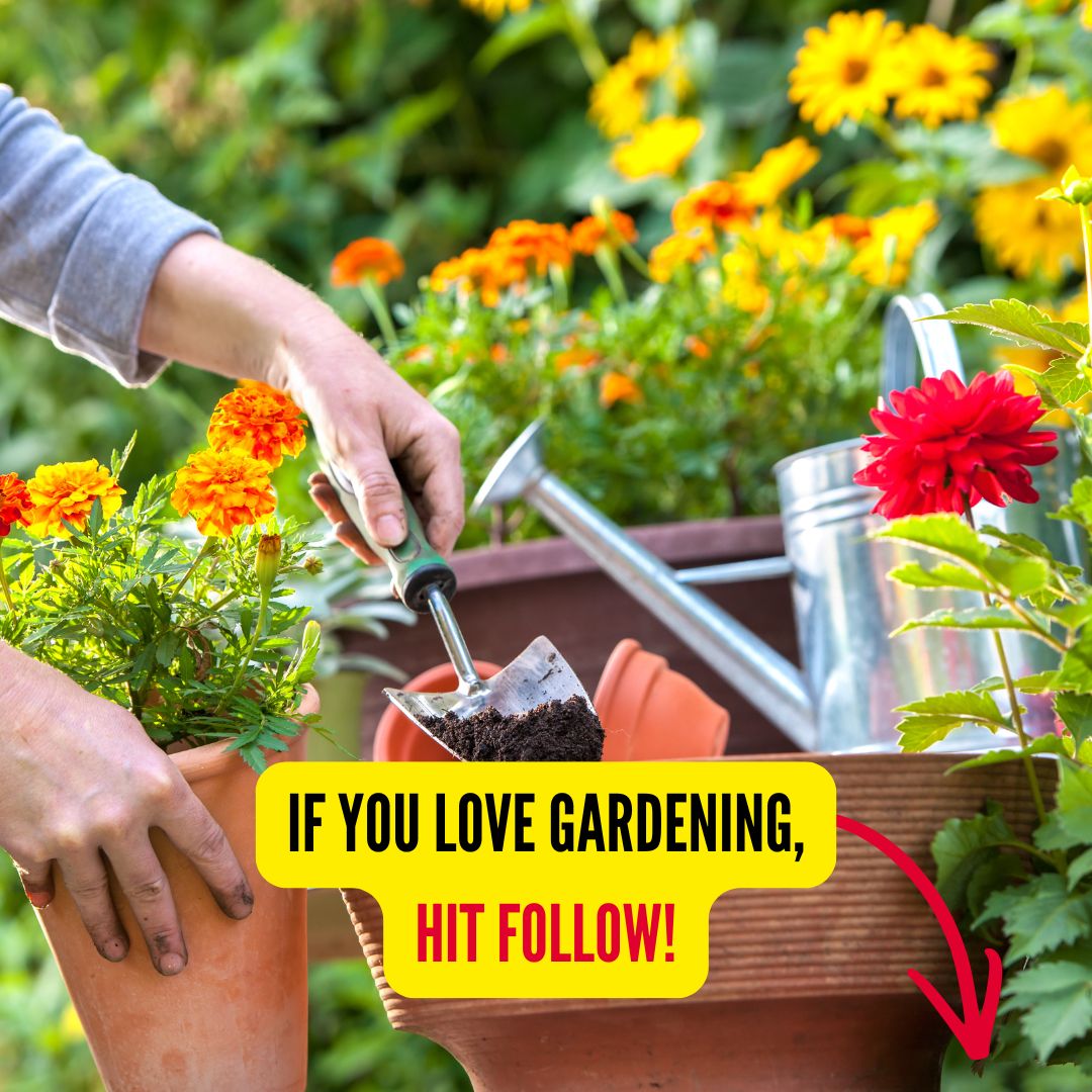 Florida Gardener Facebook ad from Mar 23, 2026
