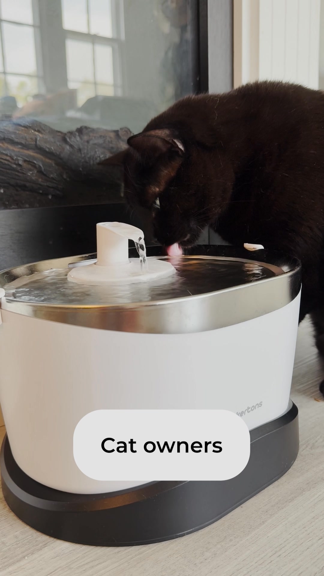 Whiskertons Facebook ad: Want a free cat fountain?