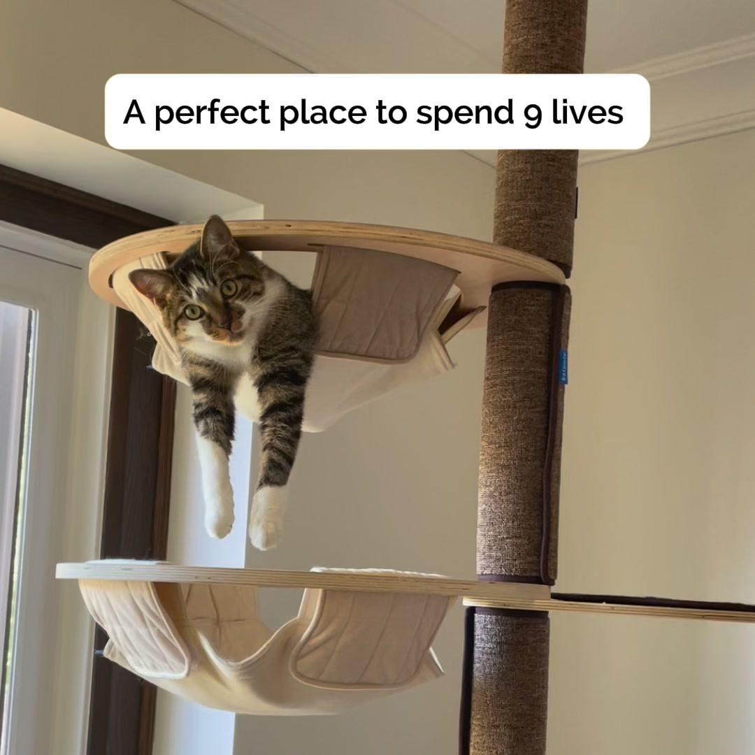 Katpole Cat Furniture Facebook ad: Why Regular Cat Trees Fail Maine Coons