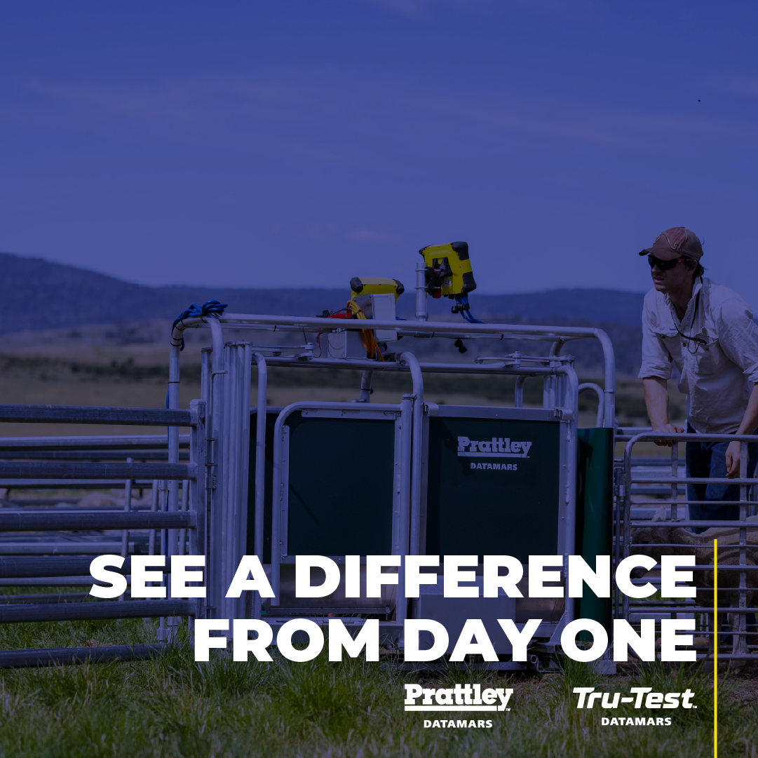 Datamars Livestock AU Facebook ad: From day one