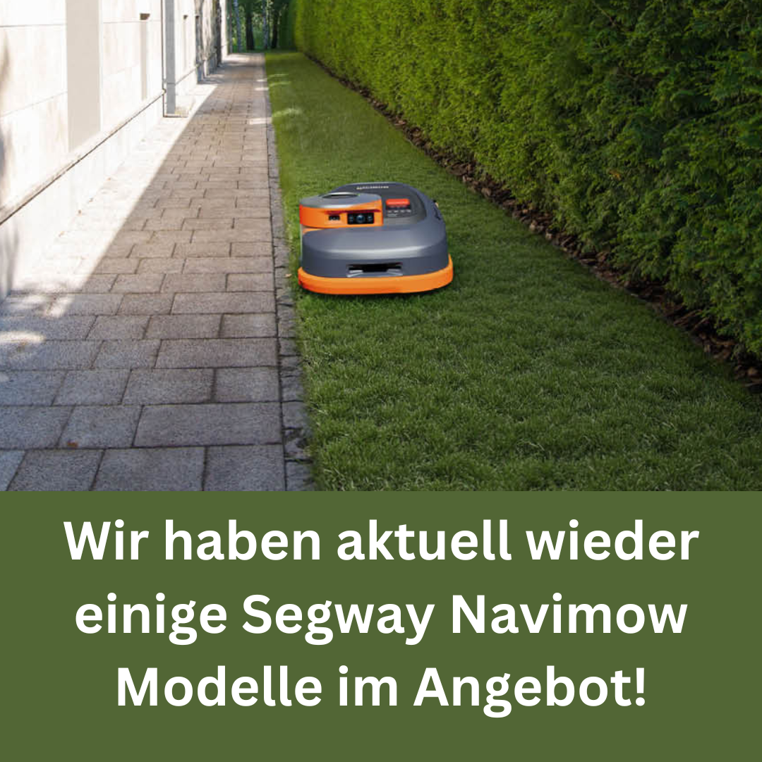 Michael Häußler - Rasenroboter-Mähroboter Facebook ad: Mähroboter Sonderangebot