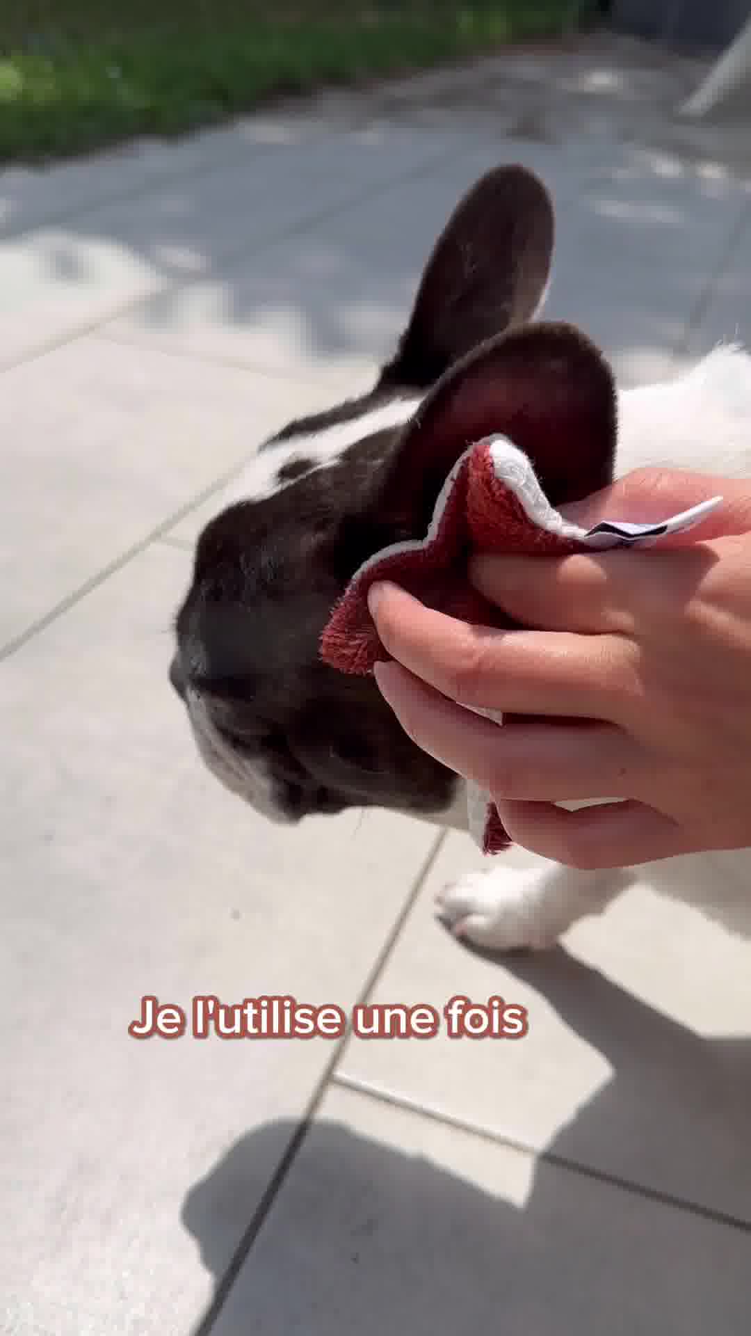 Dexter & Mango Facebook ad: Des milliers de poilus satisfaits
