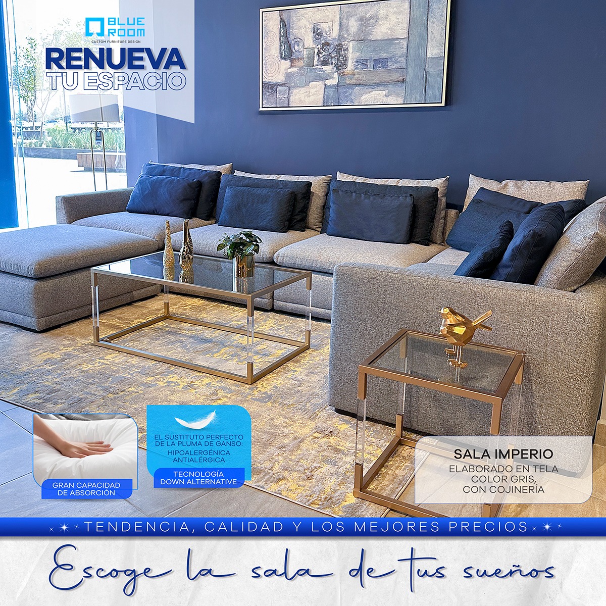 Blue Room Facebook ad