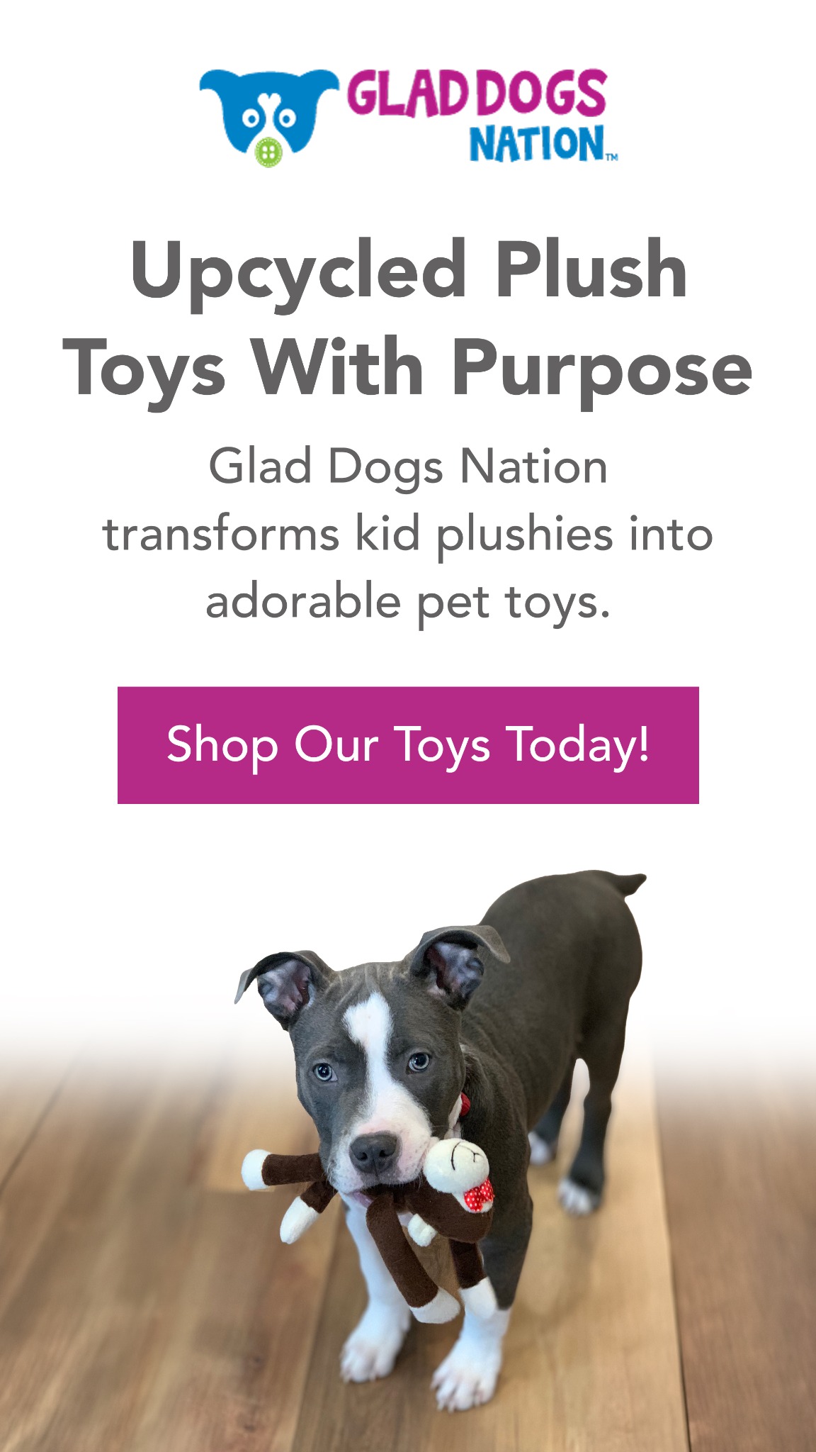 Glad Dogs Nation Facebook ad from Feb 27, 2026
