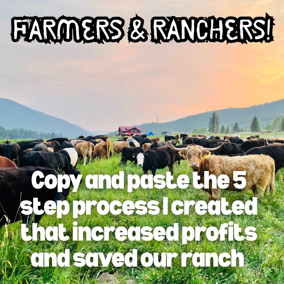 Sell Beef Direct Facebook ad