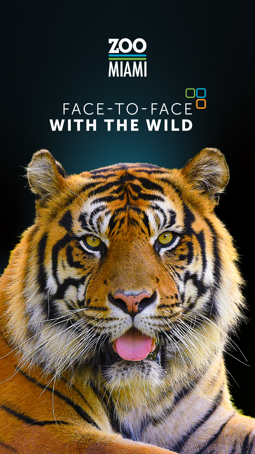 Zoo Miami Facebook ad from Jul 30, 2026