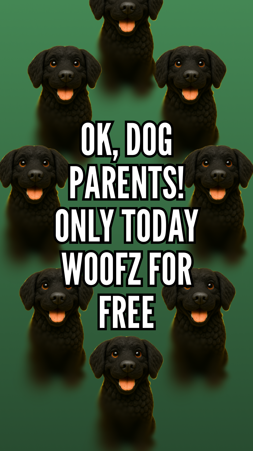 Dog Training Camp Facebook ad