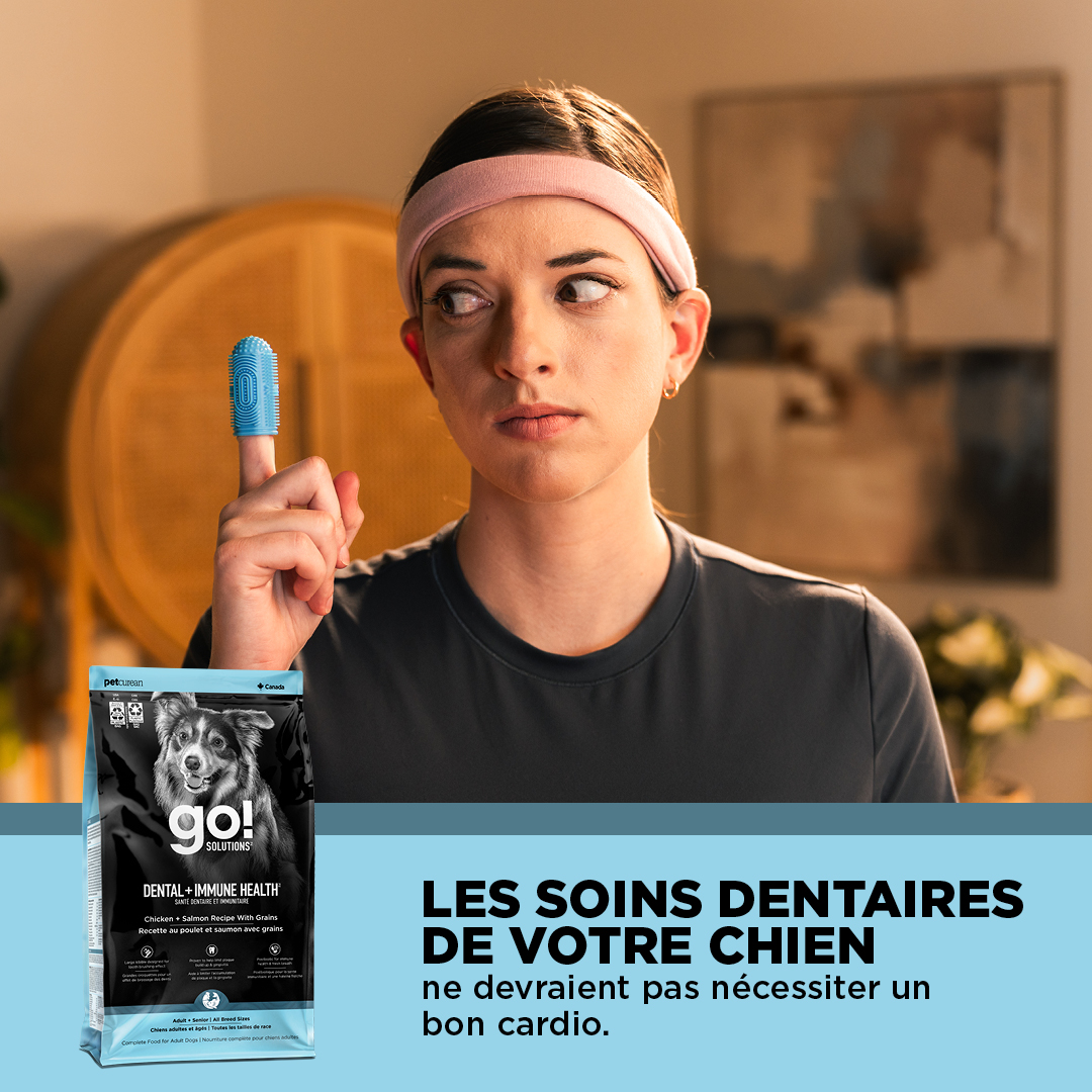 Go Solutions Pet Food Facebook ad from Apr 2, 2026