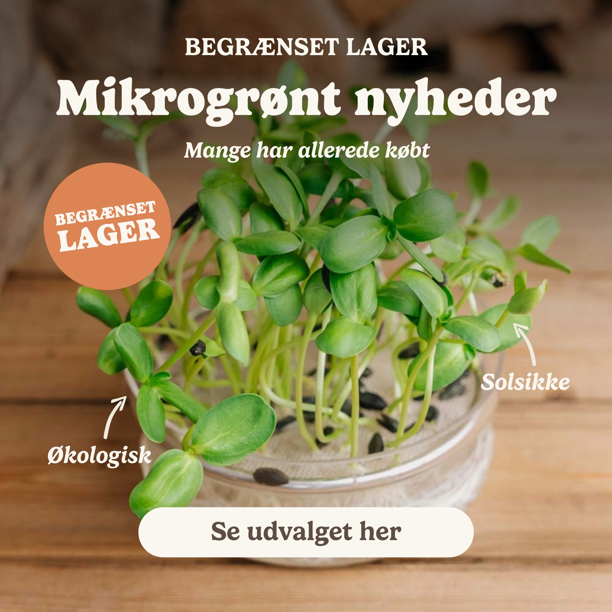 Bland Selv Frø Facebook ad: Mikrogrønt, Superfood på ingen tid!