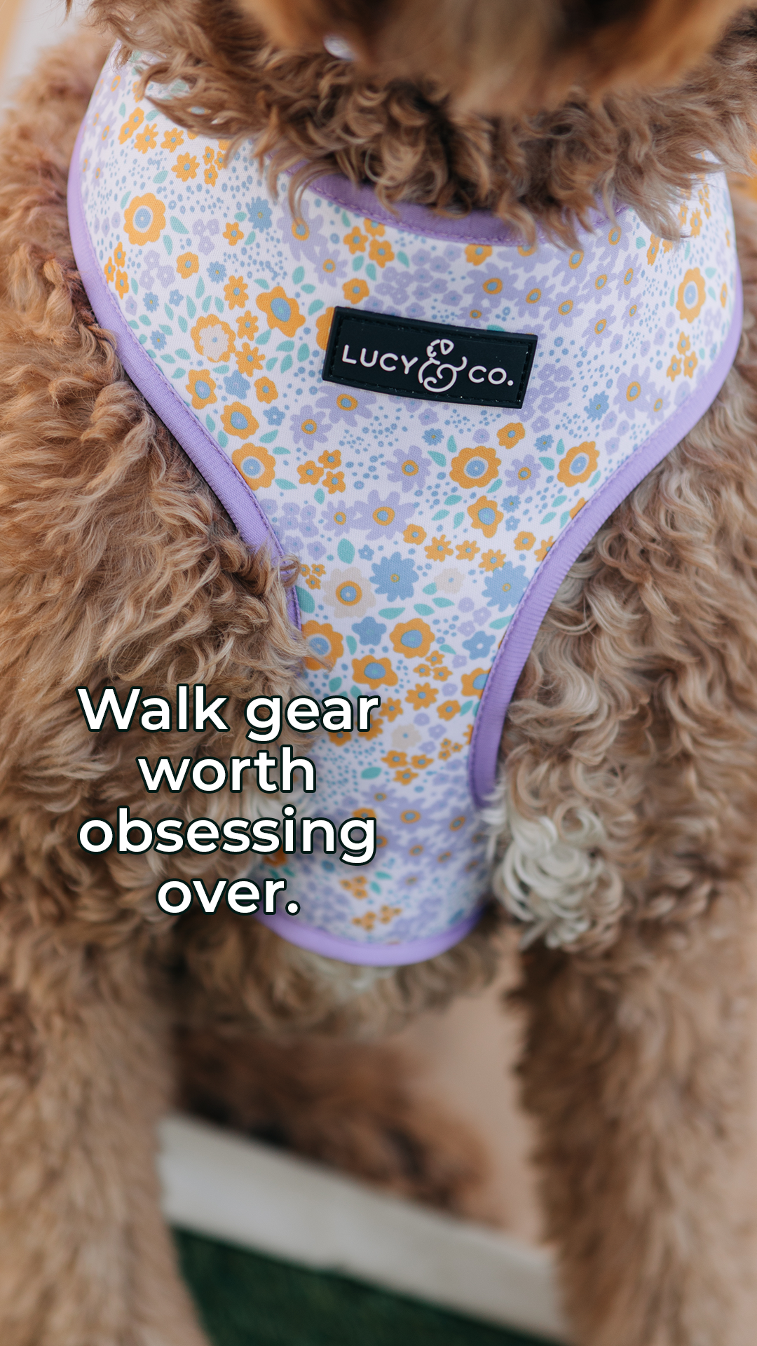 Lucy & Co. Facebook ad