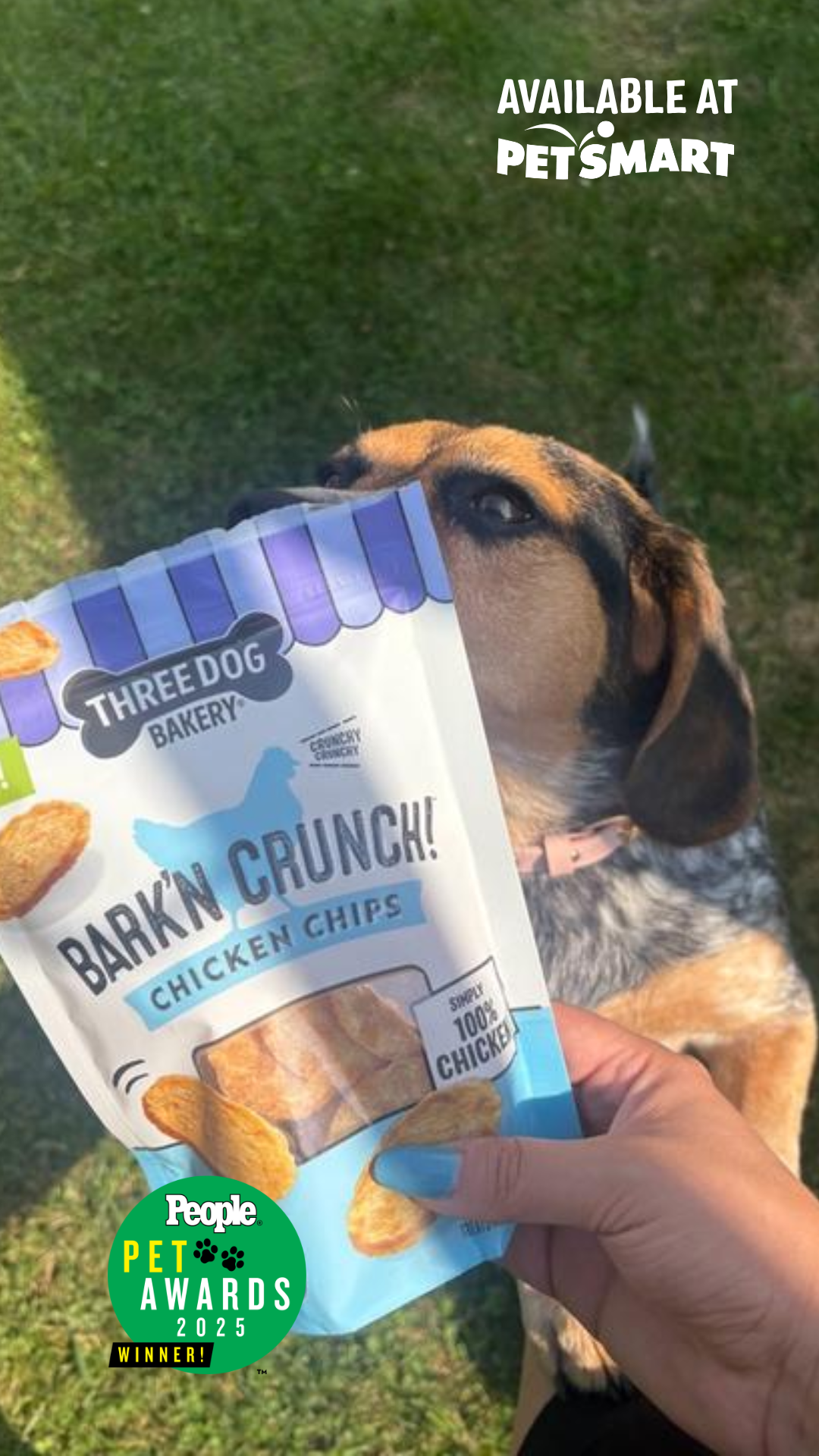 Three Dog Bakery Facebook ad