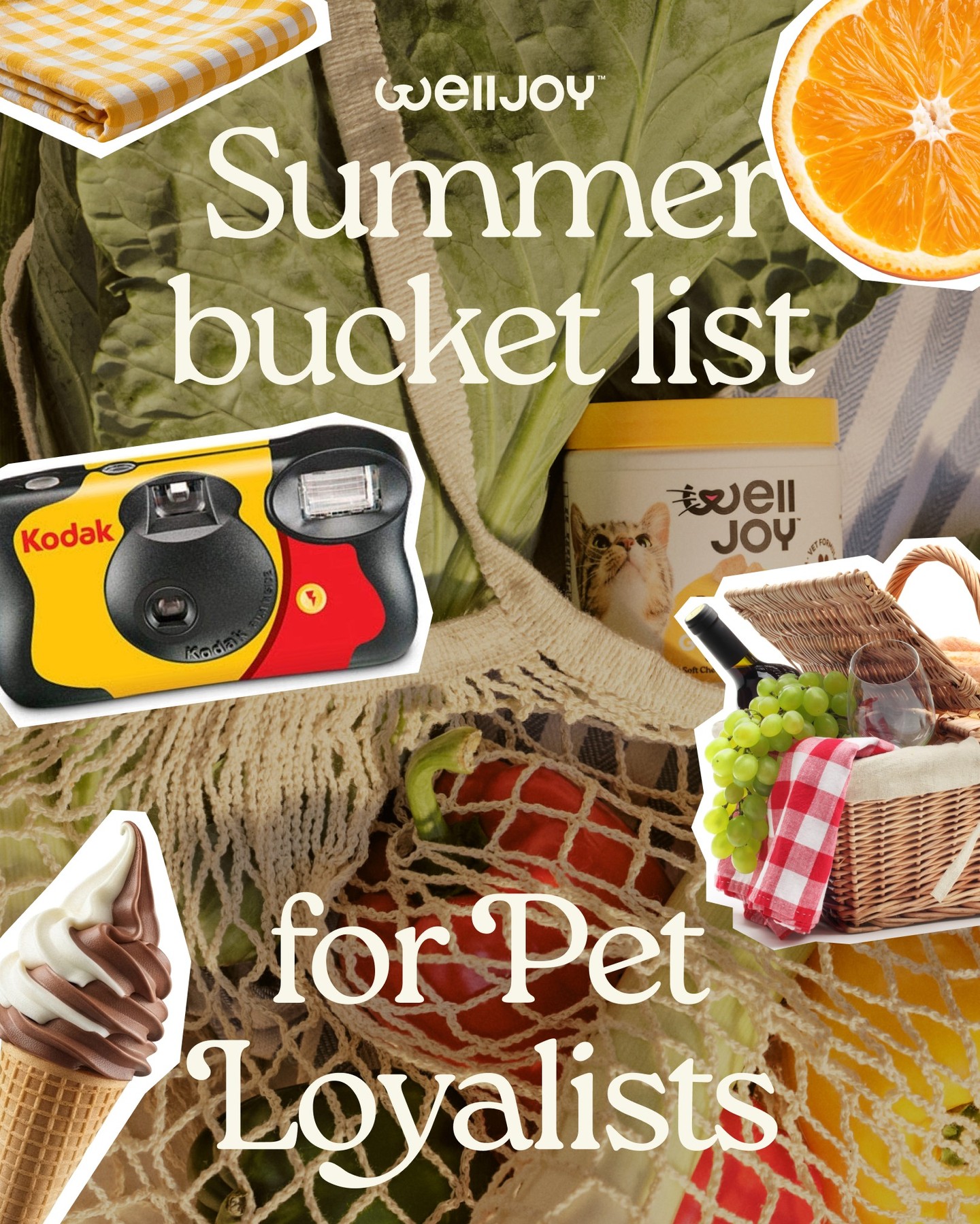 WellJoy Facebook ad: The Pet Loyalist summer bucket list is here.