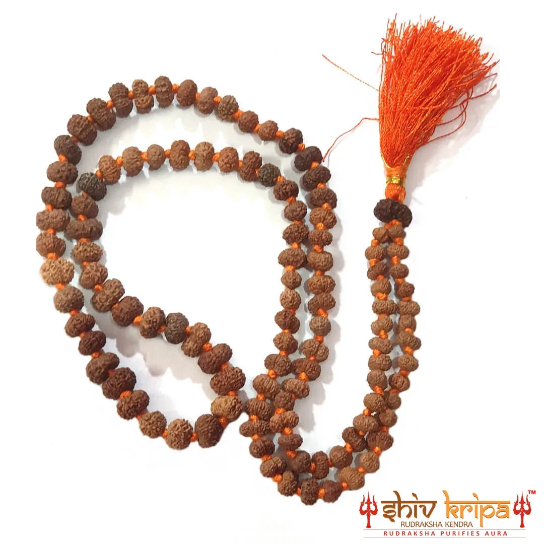 Shiv Kripa Rudraksha Kendra Facebook ad: From daily wear malas to rare Nepali Rudraksha…