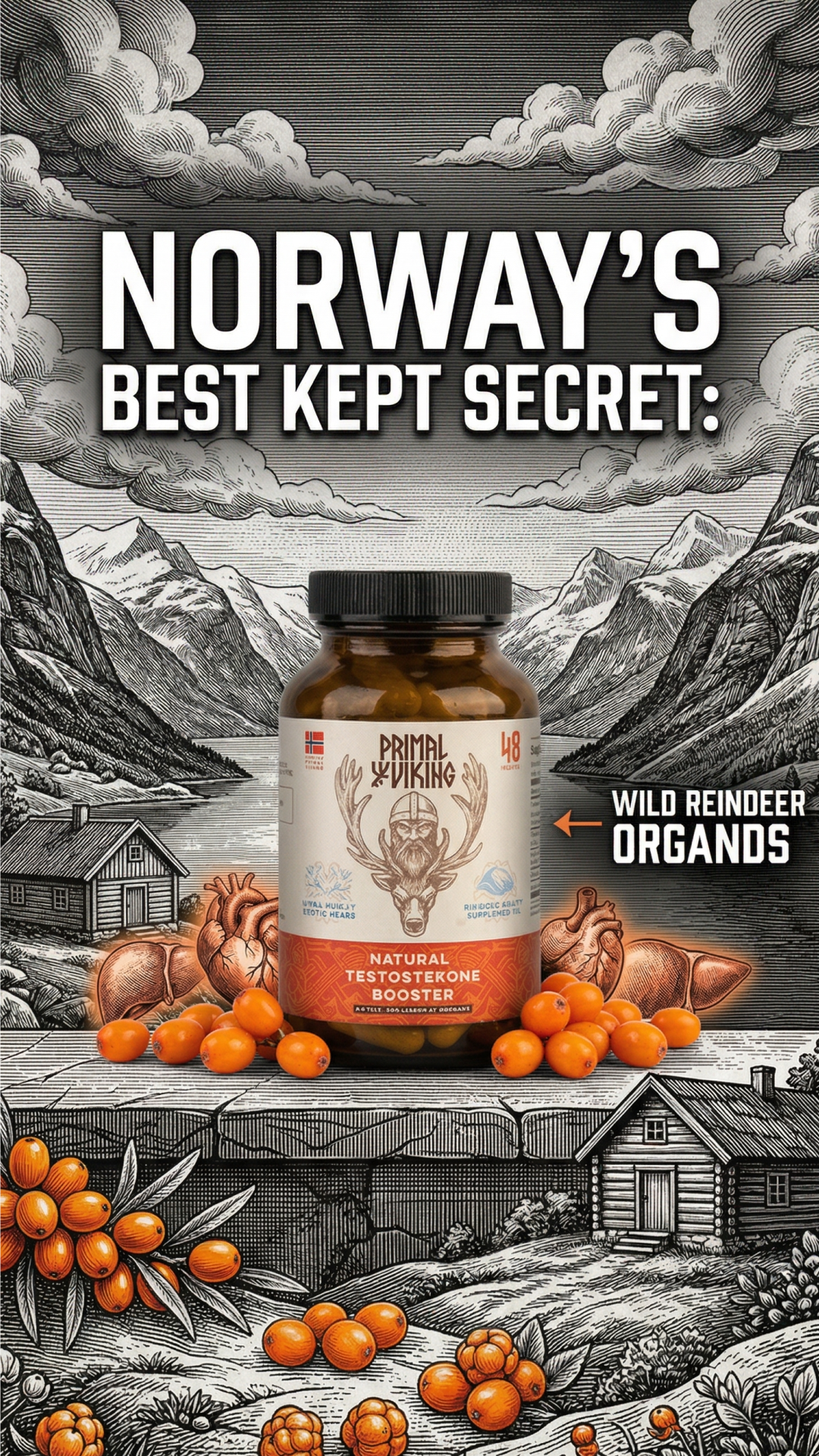 Primal Viking Facebook ad