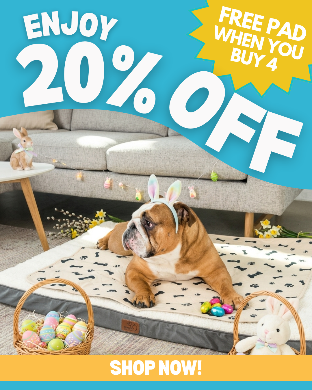 Potty Buddy Facebook ad