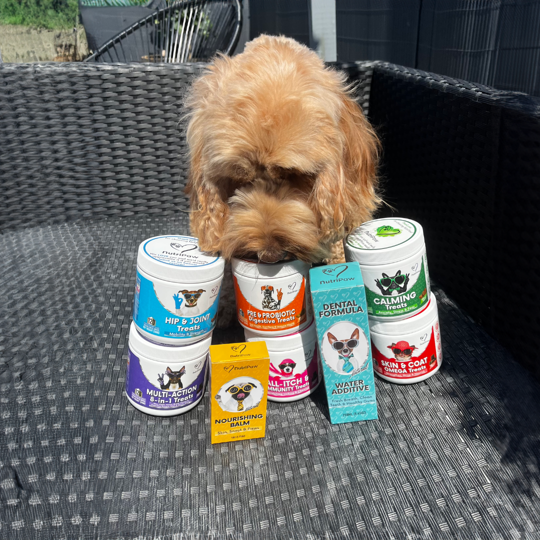 Nutri Paw Facebook ad