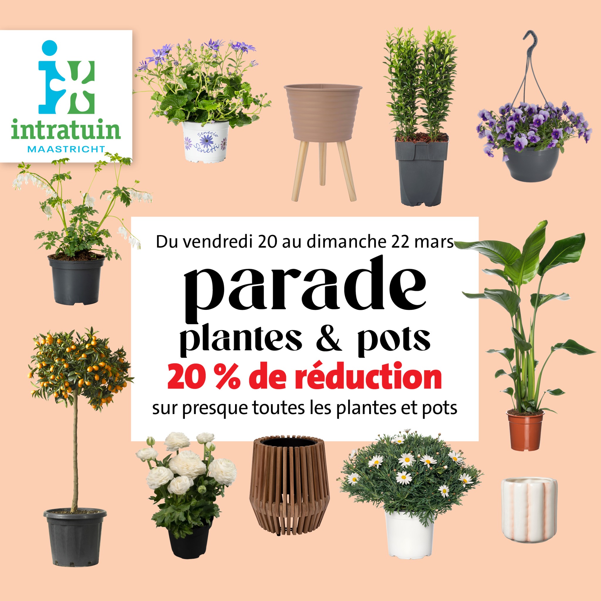 Intratuin Maastricht Facebook ad