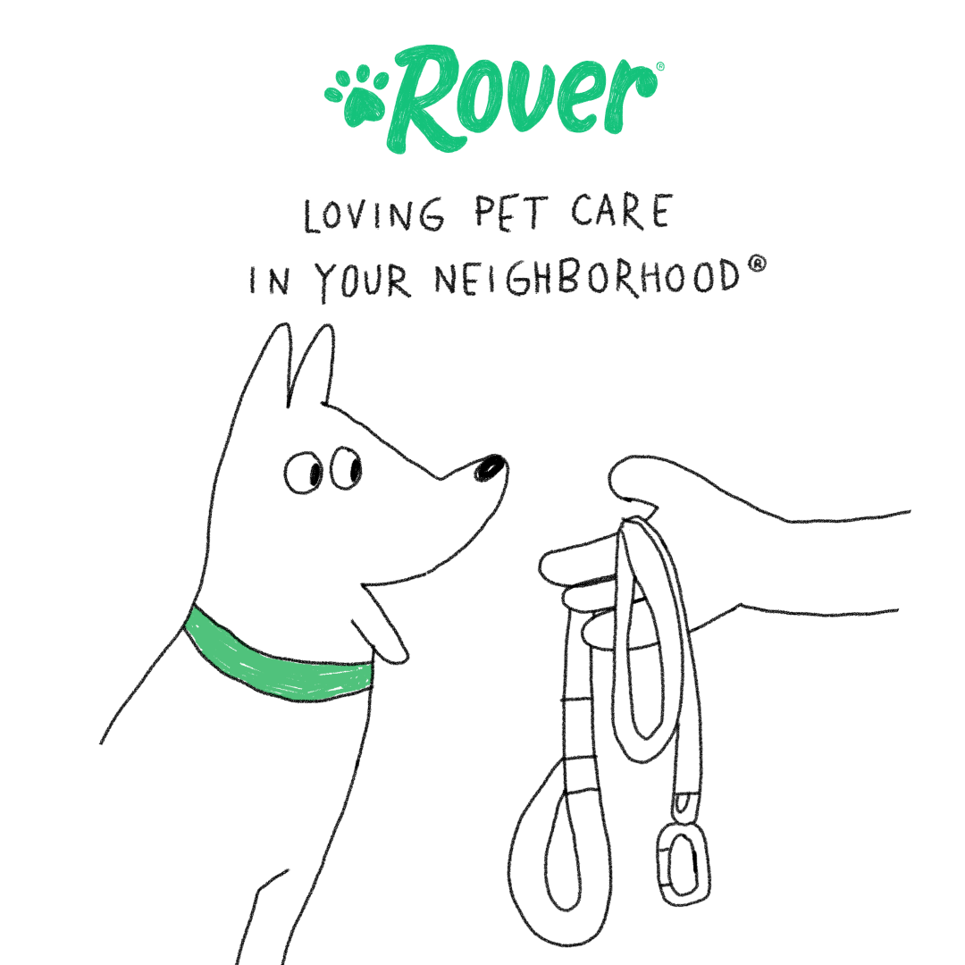 Rover.com Facebook ad