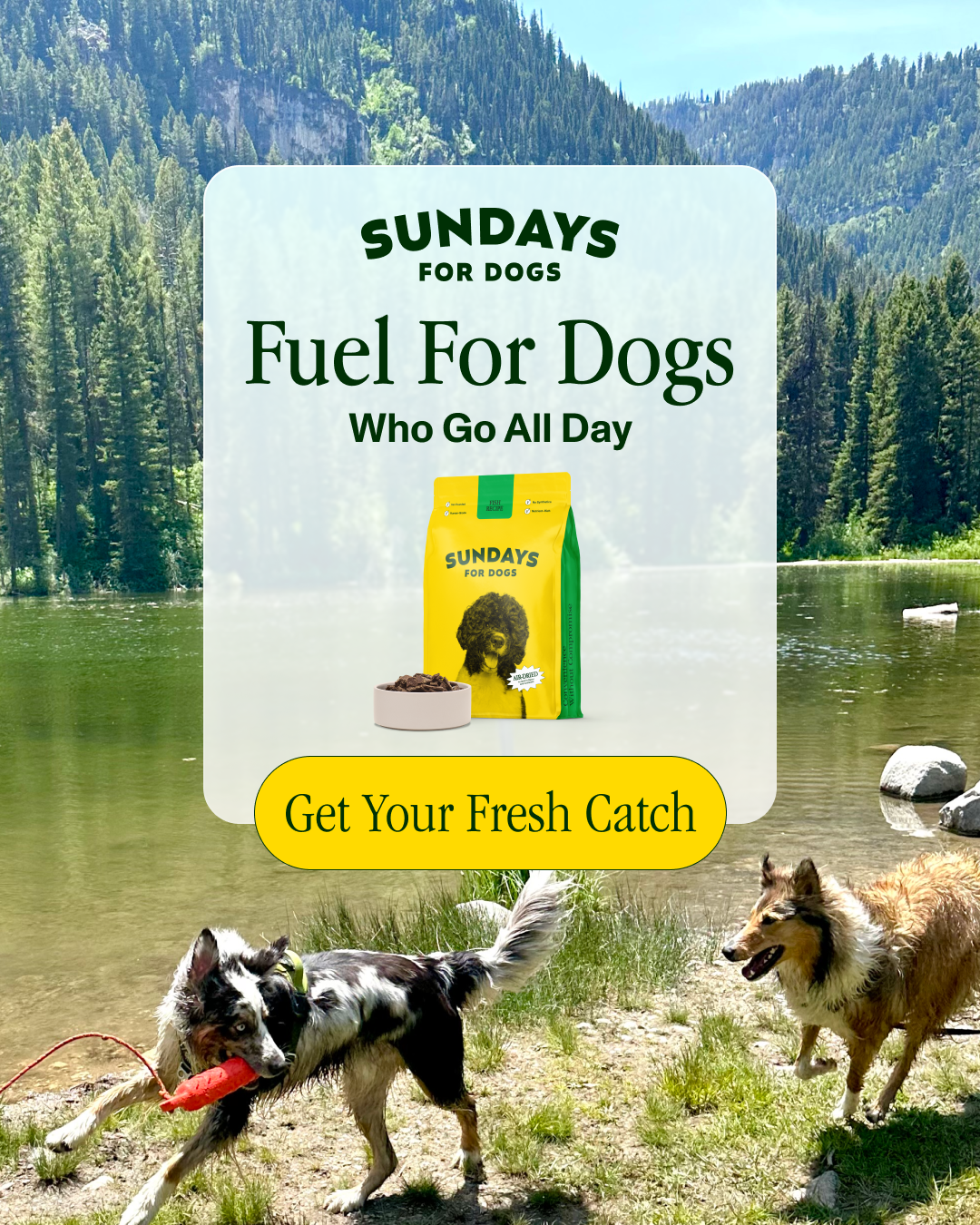 Sundays Facebook ad