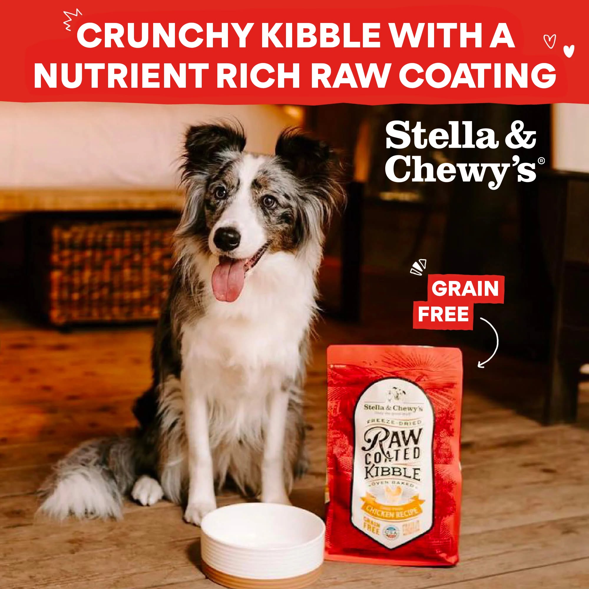Chewy Facebook ad