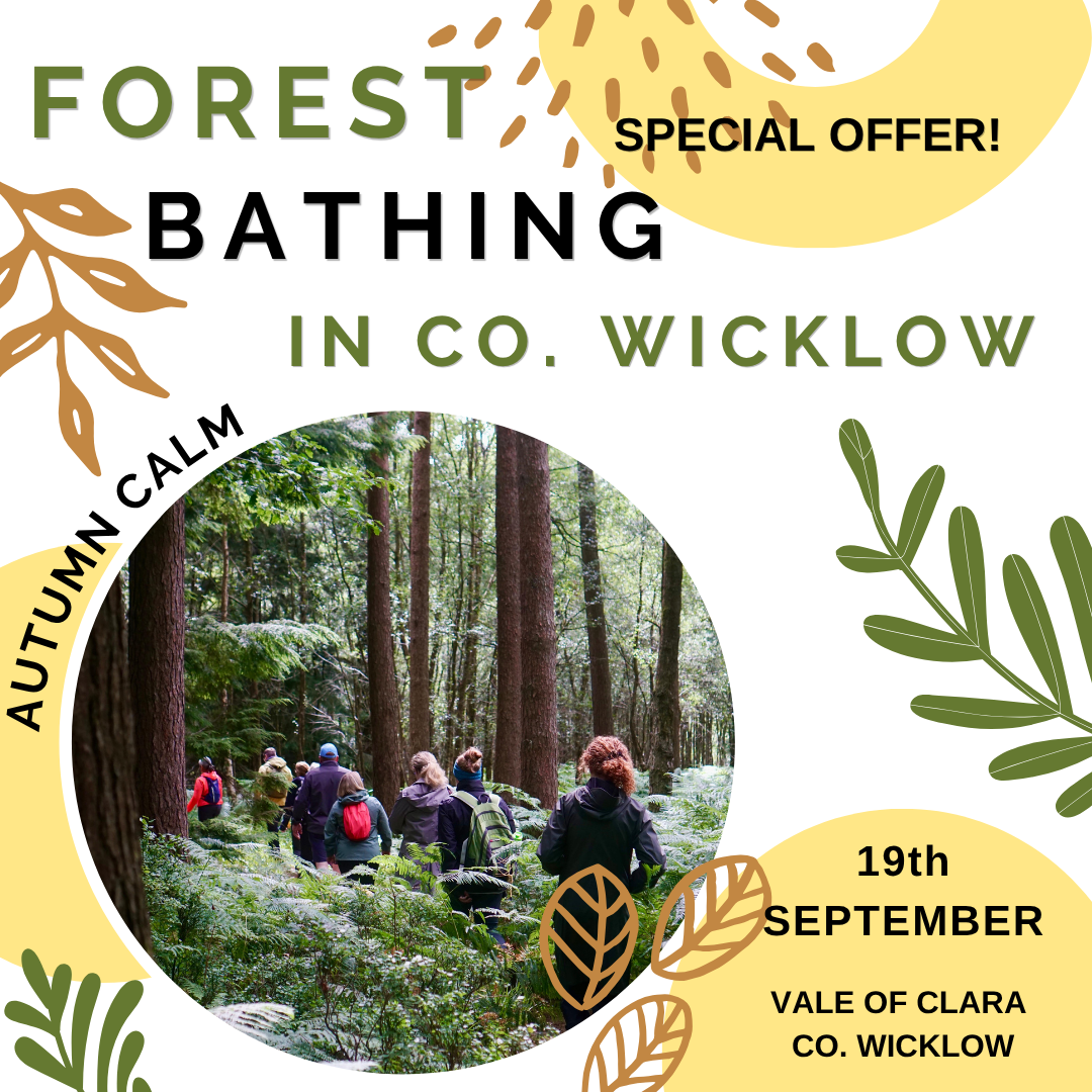 Nature To Go Facebook ad: Forest Bathing and Tea Ceremony - Vale of Clara Nature…