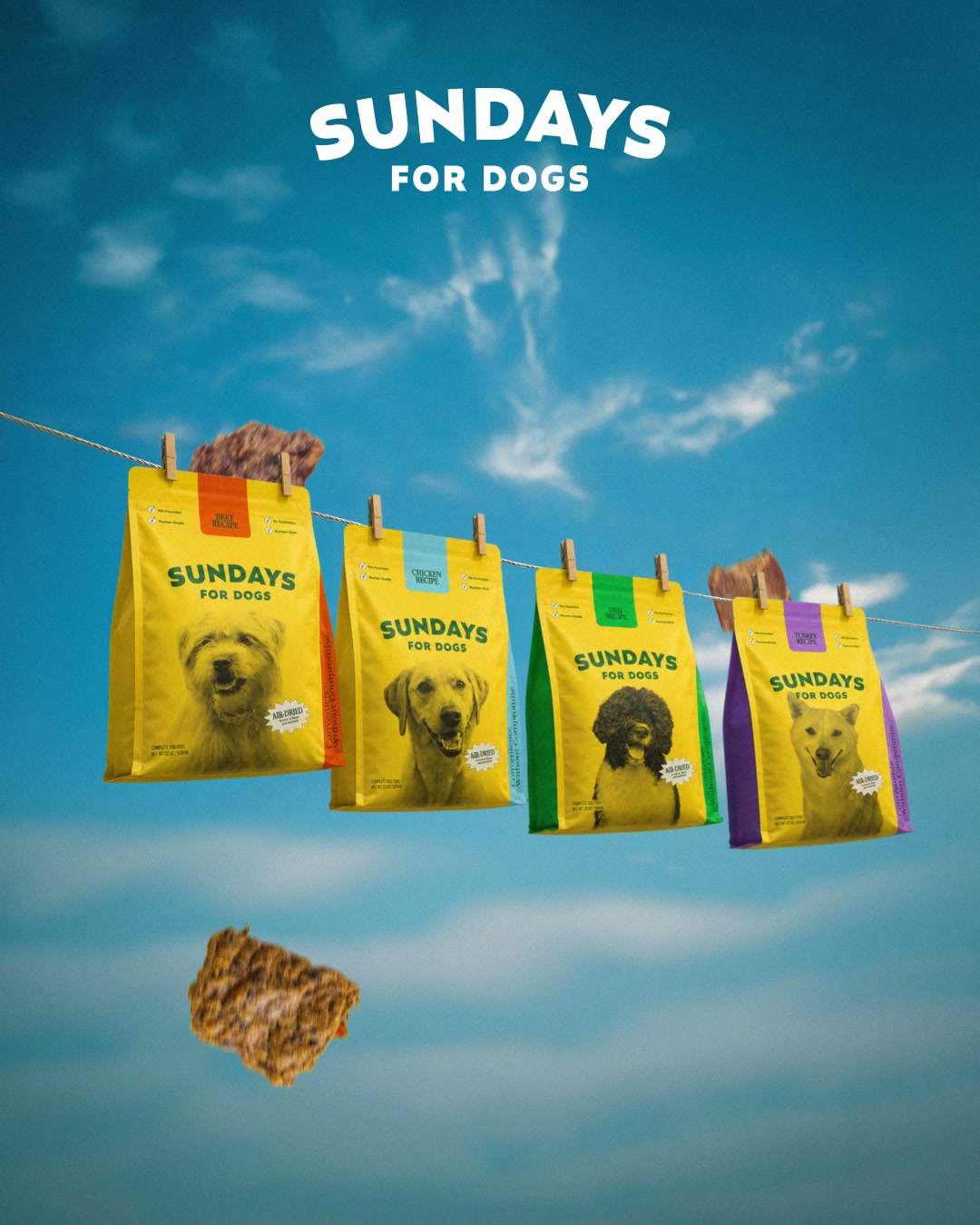 Sundays Facebook ad: Sundays is no mess, no prep dog food…