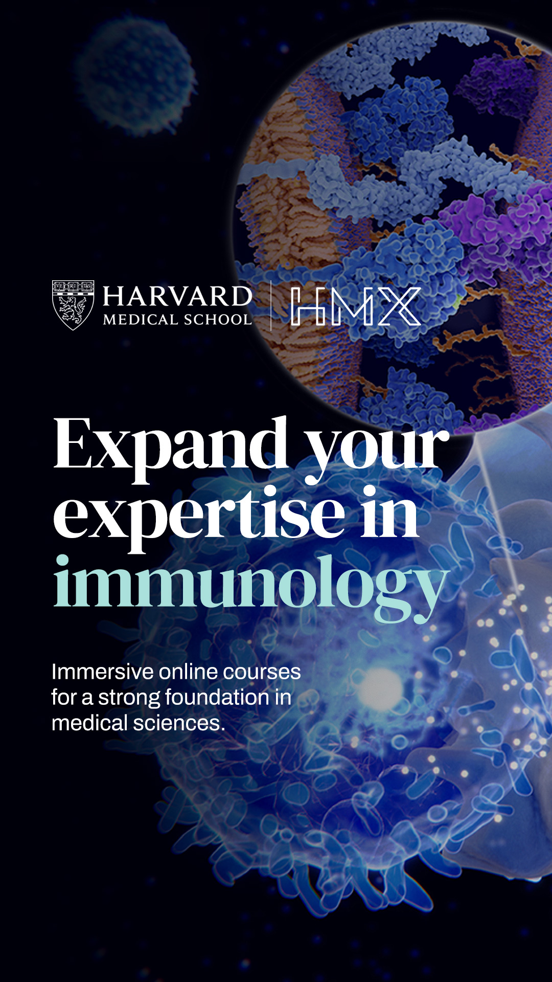 Harvard Medical School Professional, Corporate, and Continuing Education Facebook ad