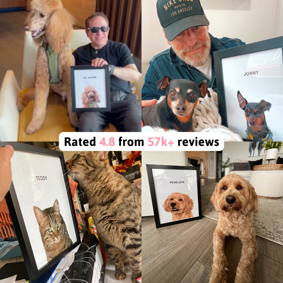 Crown & Paw Facebook ad