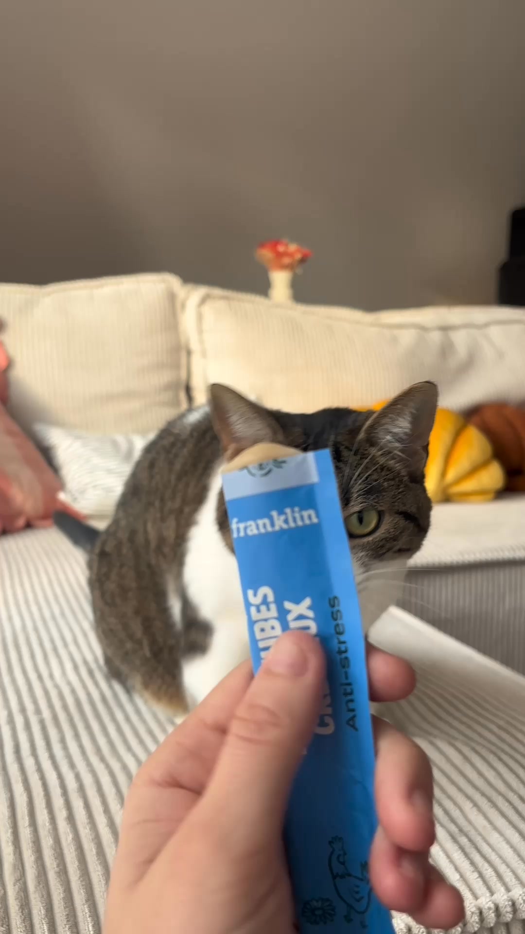 Franklin Pet Food Facebook ad: Nouvelle gamme de friandises!