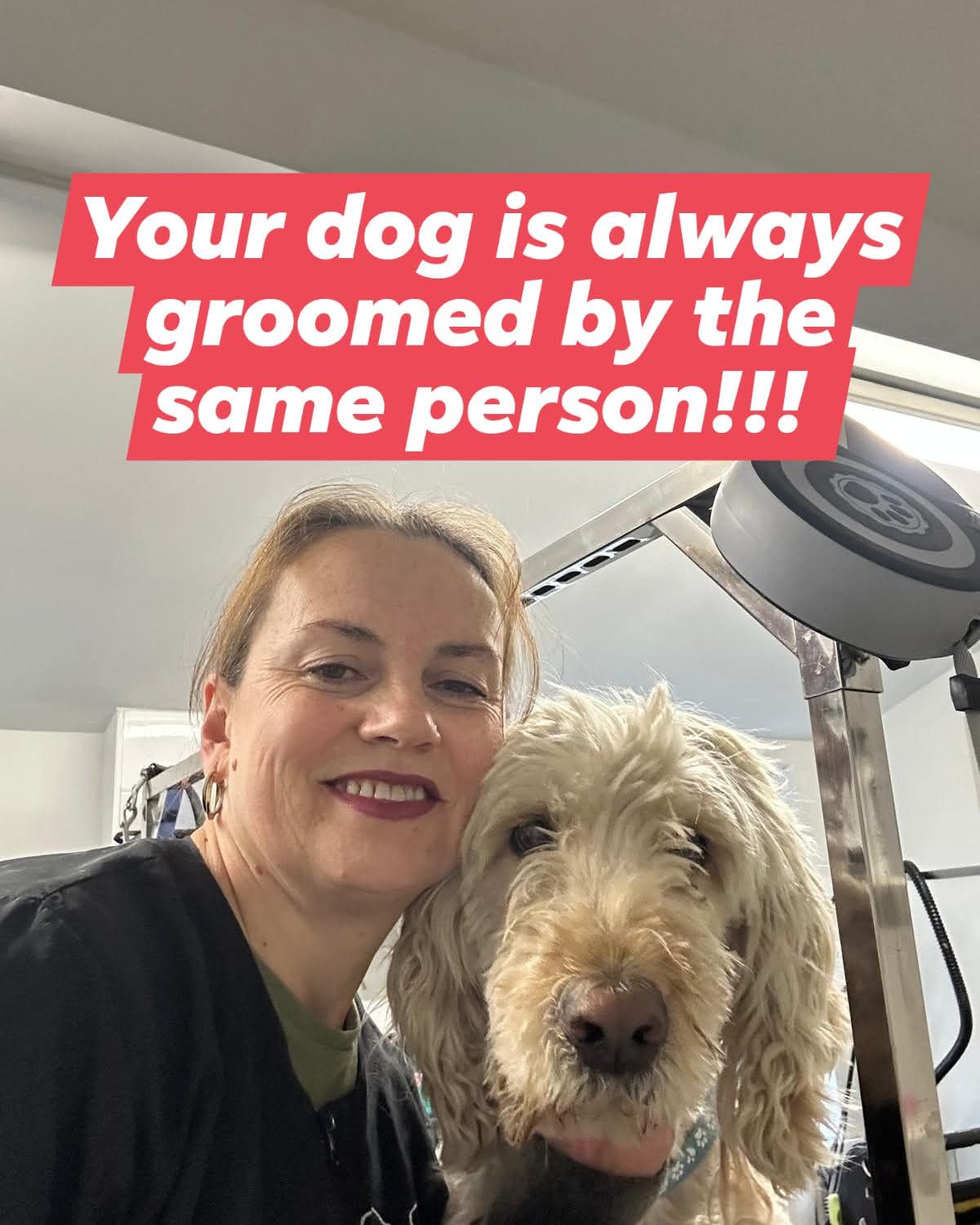 Dog Hair Control Facebook ad: doghaircontrol | Instagram, Facebook | Linktree